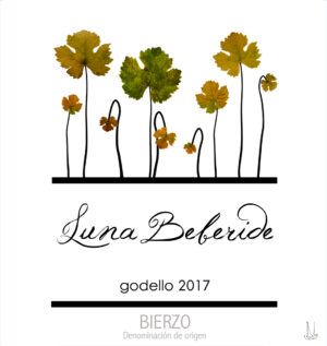 Luna Beberide Godello Bierzo White 17
