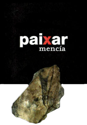 Bodegas y Vinedos Paixar