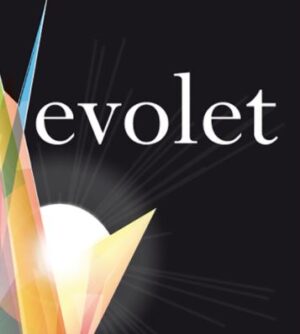 Evolet Tempranillo Vino de Calidad de Valtiendas